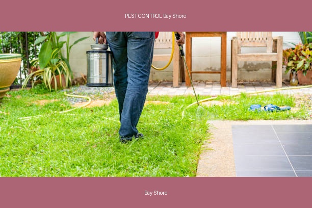 PEST CONTROL Bay Shore